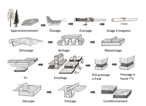 processus de fabrication du contreplaqué