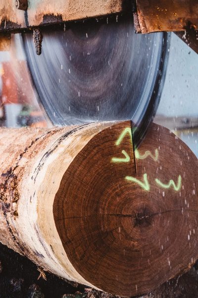 Fabrication du placage bois Decospan